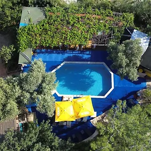 https://shiva-camp.aegeanhotels.net